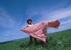 便利で無駄がない東京の運転手派遣