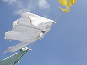 岡崎の買取専門店を徹底比較！2026年最新の高価買取を実現する最良の選び方