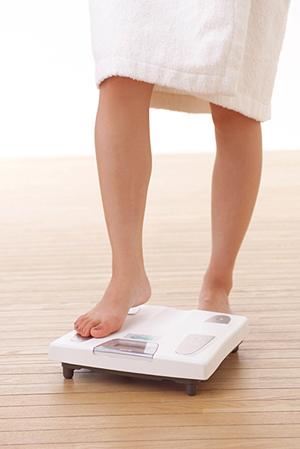 PPAや太陽光発電システムの情報を入手