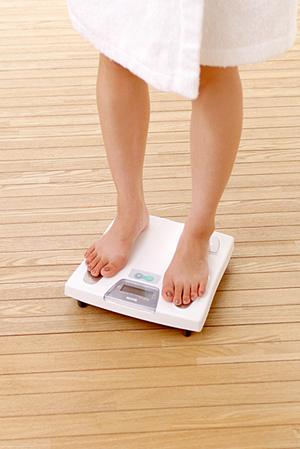 高品質で耐久性抜群のパイプハウス