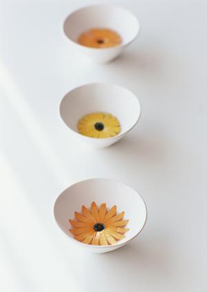 家のセキュリティ強化に役立つ！黒石市の鍵トラブル対策とは？