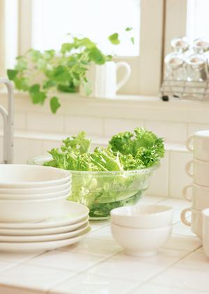 神奈川県で丸ごとゴミ回収を行う企業