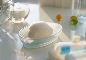 法人も安心の栃木のゴミ屋敷整理屋